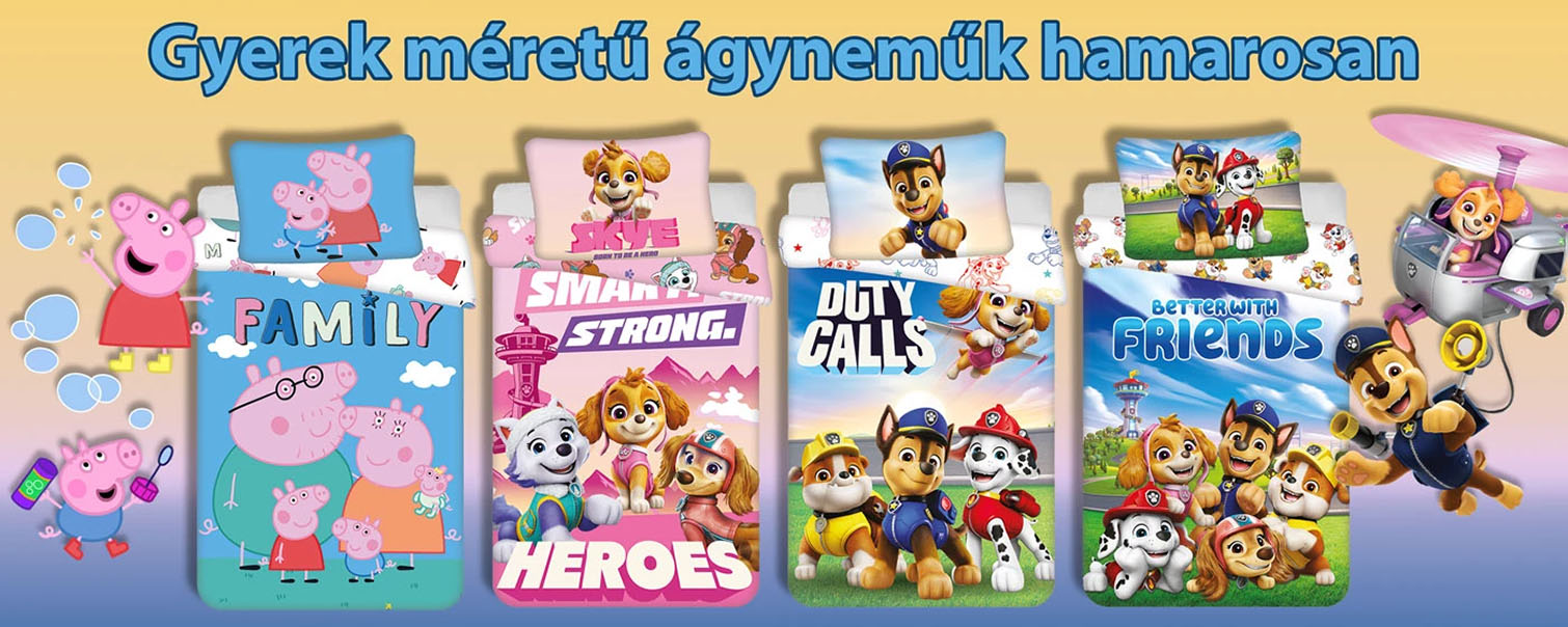 CsiniMini
