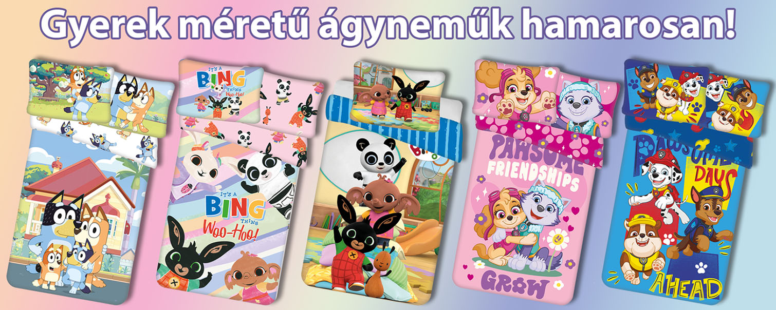 CsiniMini