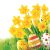 Húsvét Bunch of Daffodils szalvéta 20 db-os 33x33 cm