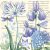 Virágos Irises Hydragea szalvéta 20 db-os 25x25 cm